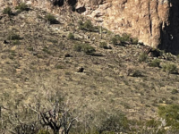 Saddle Mountain, AZ public land