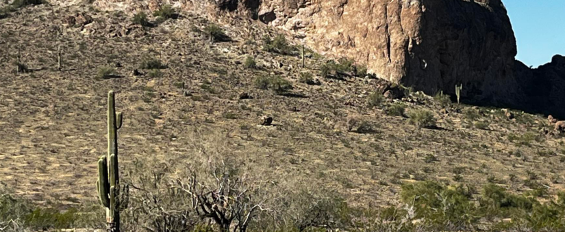 Saddle Mountain: Public Land
