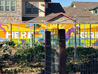 Bonton Farms: Urban Agriculture and Gardens