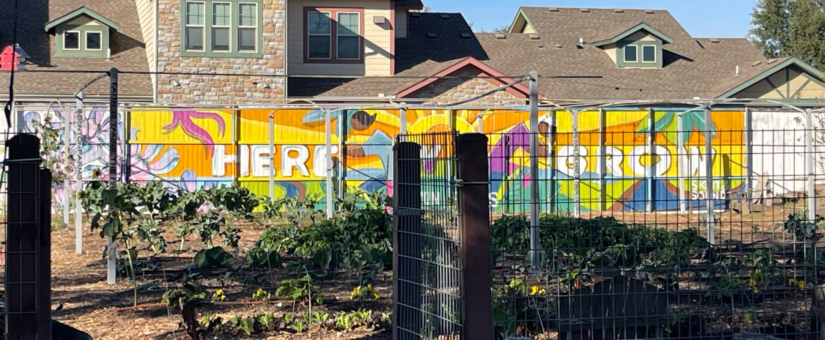 Bonton Farms: Urban Agriculture and Gardens