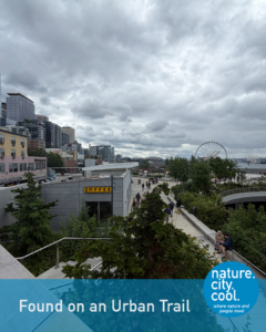 A walkable connection across changing elevations.