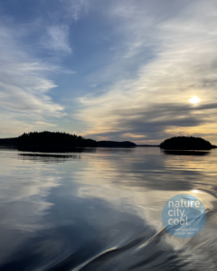 Lake Saimaa