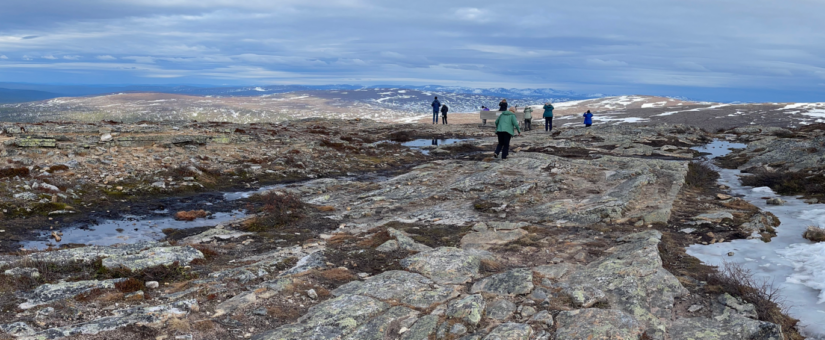 Finland: Sustainable Communities